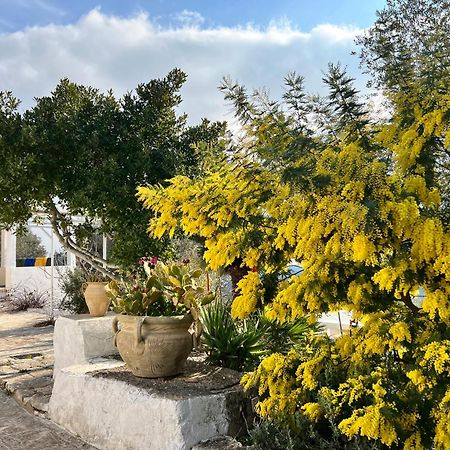 Syconium Trullo And Lamia Gea Charme And History Hotel Ostuni Exterior photo