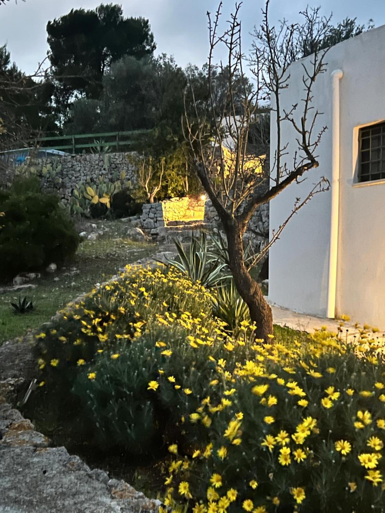 Syconium Trullo And Lamia Gea Charme And History Hotel Ostuni Exterior photo